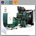 Elektrische Leistung CHP Cogenerator 10kw - 1000kw Methan Biogas Erdgas Generator